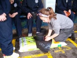Planting a seed 17-11-08 009